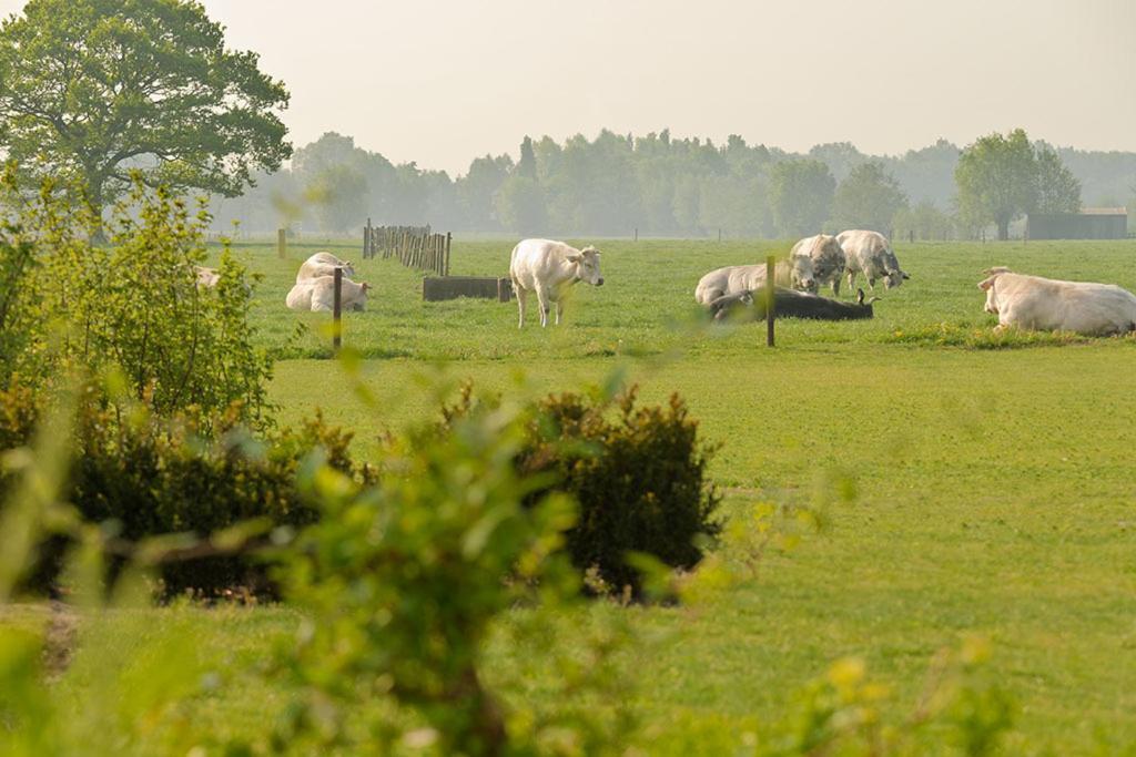 Domein Het Weiland Damme Exterior foto